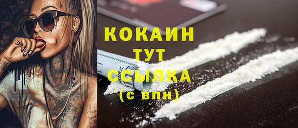сатива Абаза